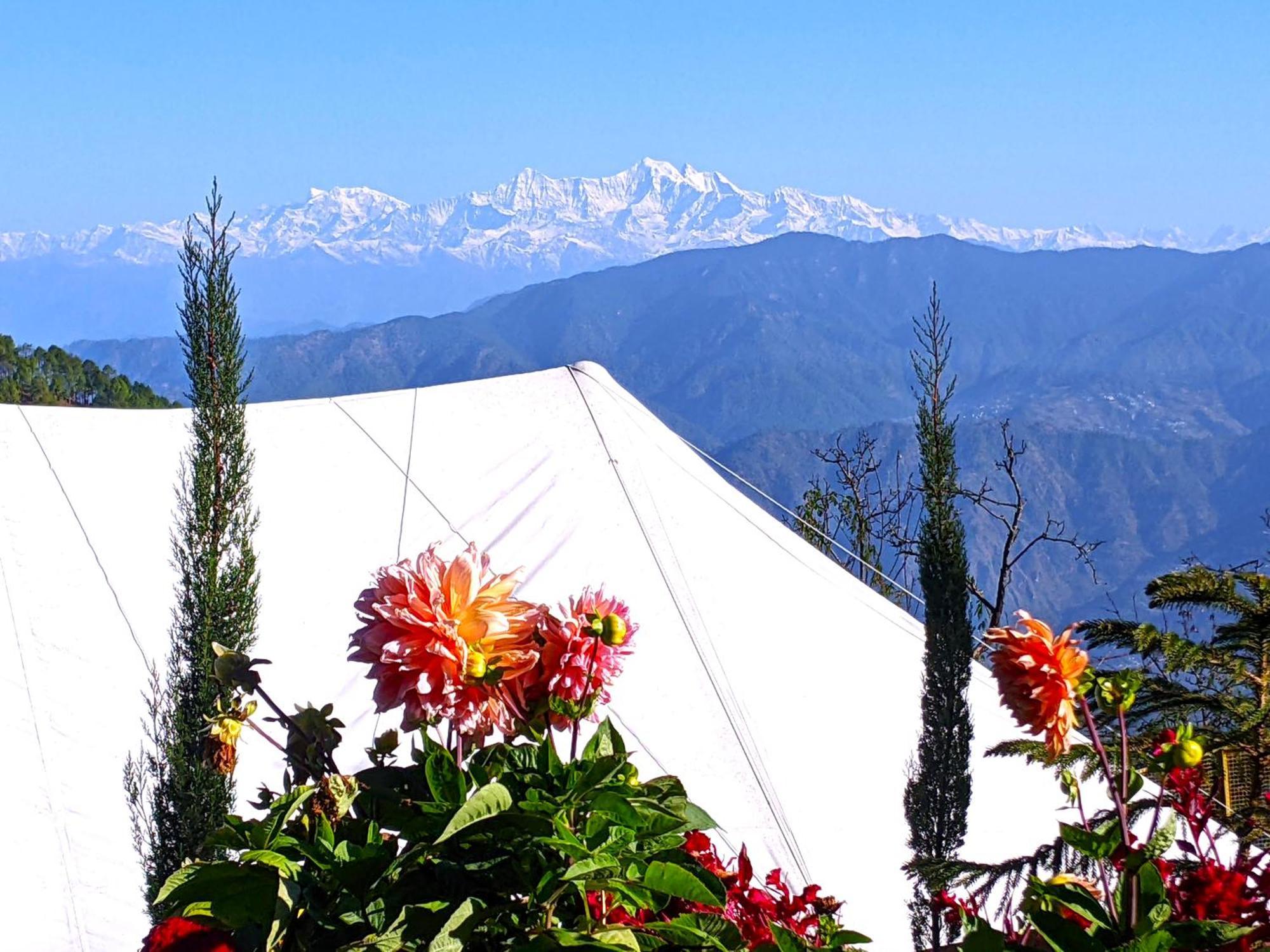 Hotel The Bugyal Kanatal Zewnętrze zdjęcie